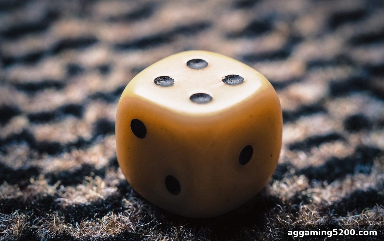 欧赔视角：历史数据如何架起从偶然到必然的桥梁？