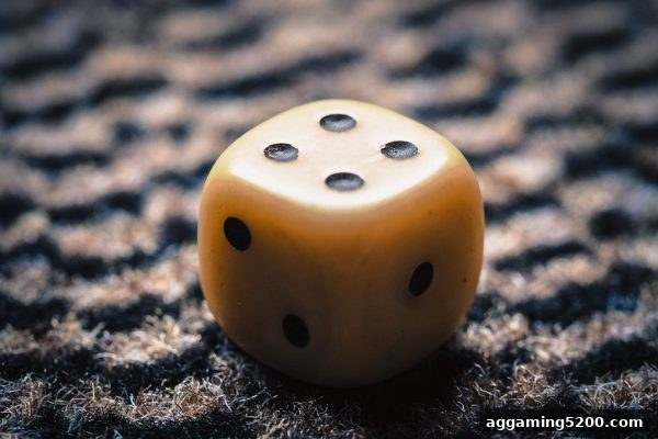 欧赔视角：历史数据如何架起从偶然到必然的桥梁？